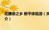 花腰傣之乡 新平体验游（关于花腰傣之乡 新平体验游的简介）