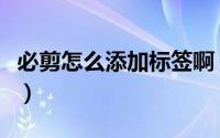 必剪怎么添加标签啊（必剪如何添加贴纸元素）