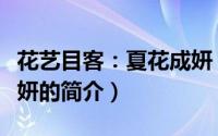 花艺目客：夏花成妍（关于花艺目客：夏花成妍的简介）