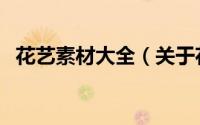 花艺素材大全（关于花艺素材大全的简介）