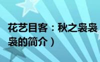 花艺目客：秋之袅袅（关于花艺目客：秋之袅袅的简介）