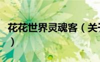 花花世界灵魂客（关于花花世界灵魂客的简介）