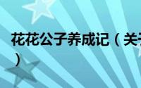 花花公子养成记（关于花花公子养成记的简介）