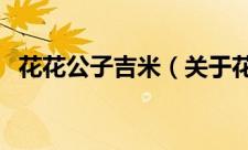 花花公子吉米（关于花花公子吉米的简介）