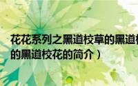 花花系列之黑道校草的黑道校花（关于花花系列之黑道校草的黑道校花的简介）