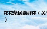 花花柴民勤群体（关于花花柴民勤群体的简介）