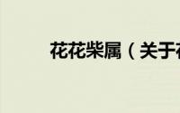 花花柴属（关于花花柴属的简介）