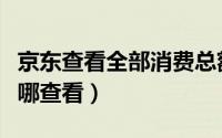 京东查看全部消费总额（京东消费订单总额在哪查看）