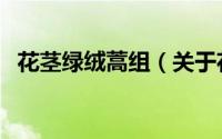 花茎绿绒蒿组（关于花茎绿绒蒿组的简介）