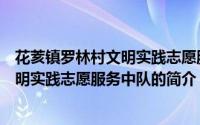 花荄镇罗林村文明实践志愿服务中队（关于花荄镇罗林村文明实践志愿服务中队的简介）