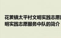 花荄镇太平村文明实践志愿服务中队（关于花荄镇太平村文明实践志愿服务中队的简介）