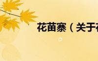 花苗寨（关于花苗寨的简介）
