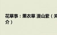 花草事：薰衣草 漫山紫（关于花草事：薰衣草 漫山紫的简介）