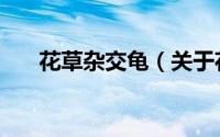 花草杂交龟（关于花草杂交龟的简介）