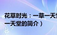 花草时光：一草一天堂（关于花草时光：一草一天堂的简介）