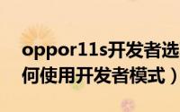 oppor11s开发者选项在哪（OPPOK11x如何使用开发者模式）
