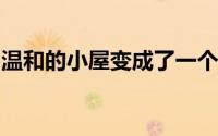 温和的小屋变成了一个点燃想象力的海滨住宅