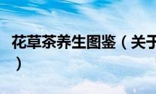 花草茶养生图鉴（关于花草茶养生图鉴的简介）