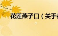 花莲燕子口（关于花莲燕子口的简介）
