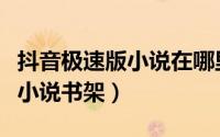 抖音极速版小说在哪里（抖音极速版在哪打开小说书架）
