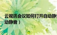 云视讯会议如何打开自动静音模式（云视讯会议如何打开自动静音）