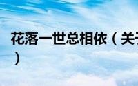 花落一世总相依（关于花落一世总相依的简介）