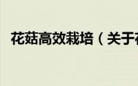 花菇高效栽培（关于花菇高效栽培的简介）