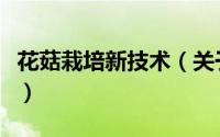 花菇栽培新技术（关于花菇栽培新技术的简介）