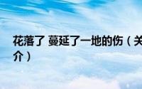 花落了 蔓延了一地的伤（关于花落了 蔓延了一地的伤的简介）