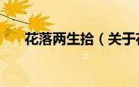 花落两生拾（关于花落两生拾的简介）