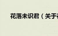 花落未识君（关于花落未识君的简介）