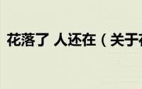 花落了 人还在（关于花落了 人还在的简介）