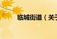 临城街道（关于临城街道的简介）