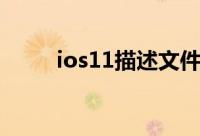 ios11描述文件下载（ios11分屏）