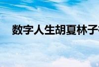 数字人生胡夏林子祥（胡夏 可惜不是你）