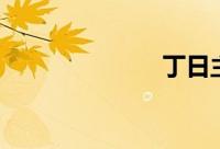 丁日主（丁日）