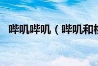 哔叽哔叽（哔叽和桃平绒哪种布料比较好）