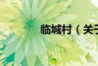 临城村（关于临城村的简介）