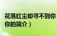 花落红尘却寻不到你（关于花落红尘却寻不到你的简介）
