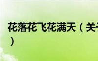 花落花飞花满天（关于花落花飞花满天的简介）