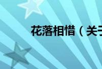 花落相惜（关于花落相惜的简介）