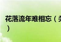 花落流年难相忘（关于花落流年难相忘的简介）