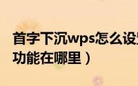 首字下沉wps怎么设置（WPS2019首字下沉功能在哪里）