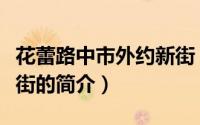 花蕾路中市外约新街（关于花蕾路中市外约新街的简介）
