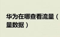 华为在哪查看流量（华为P60Art如何查看流量数据）