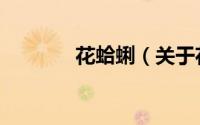 花蛤蜊（关于花蛤蜊的简介）