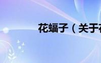 花蝠子（关于花蝠子的简介）