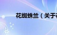 花蜘蛛兰（关于花蜘蛛兰的简介）