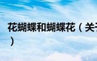 花蝴蝶和蝴蝶花（关于花蝴蝶和蝴蝶花的简介）