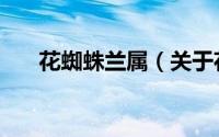 花蜘蛛兰属（关于花蜘蛛兰属的简介）